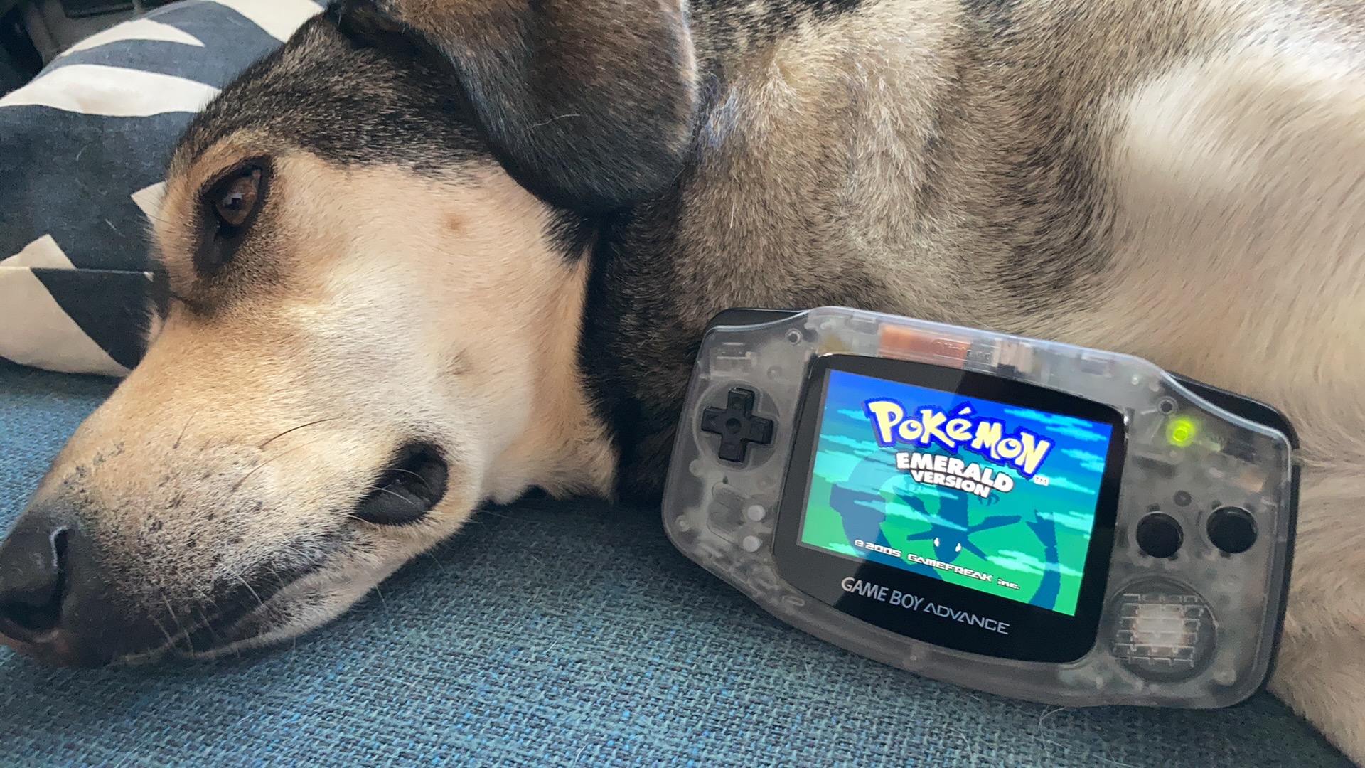 Barley and my modded GBA